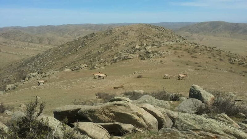 Mongolia: Mini Gobi, Orkhon, and Kharkhorin 4 Day Tour - Practicalities and Value