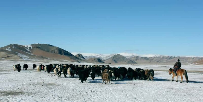 Mongolia: Overnight Nomadic Herders Experience - An Invitation to Experience Mongolia’s Nomadic Spirit
