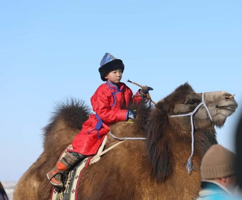 Mongolia: Thousand Camel Festival Tour 3 nights/4 days - Good To Know