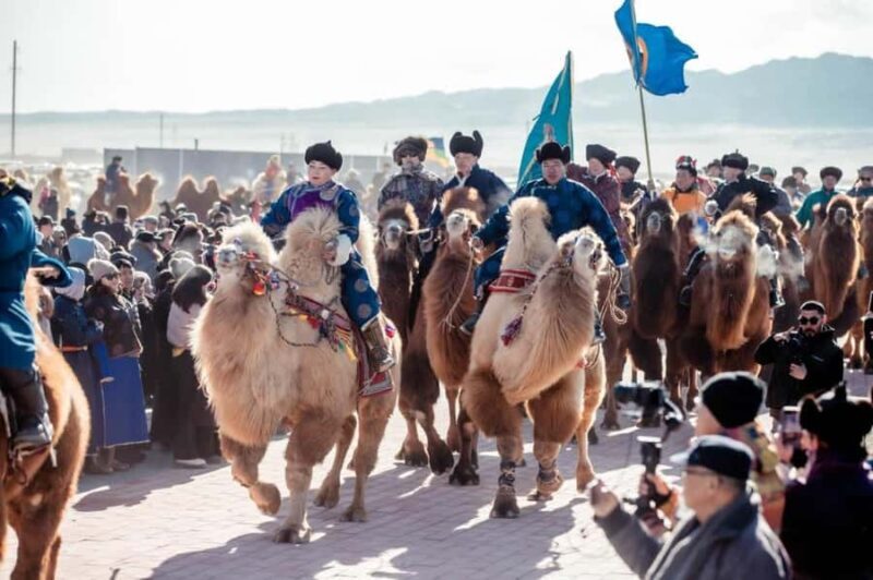Mongolia: Thousand Camel Festival Tour 3 nights/4 days - Transportation & Logistics