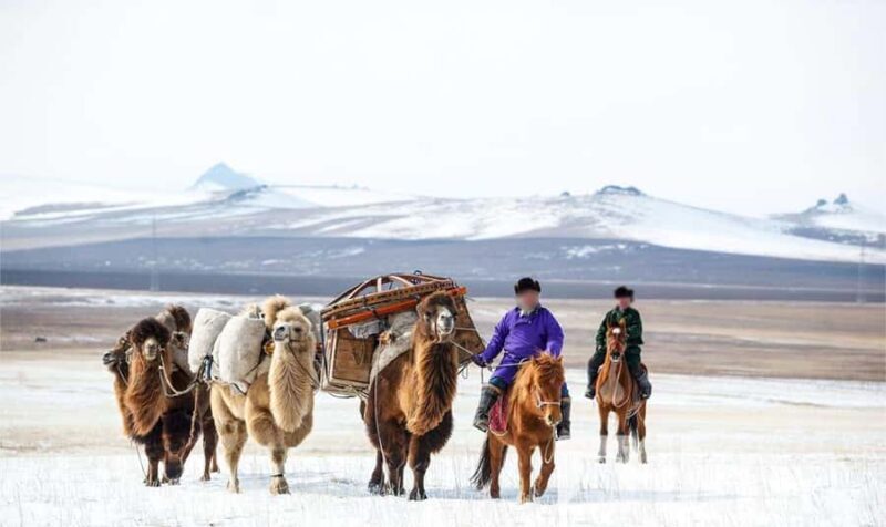 Mongolia: Thousand Camel Festival Tour 3 nights/4 days - Final Thoughts