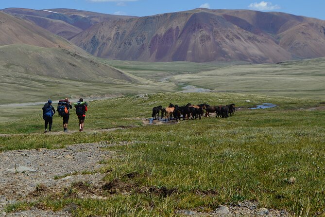 Mongolia Trekking Tour in the Altai Tavan Bogd National Park - Inclusions