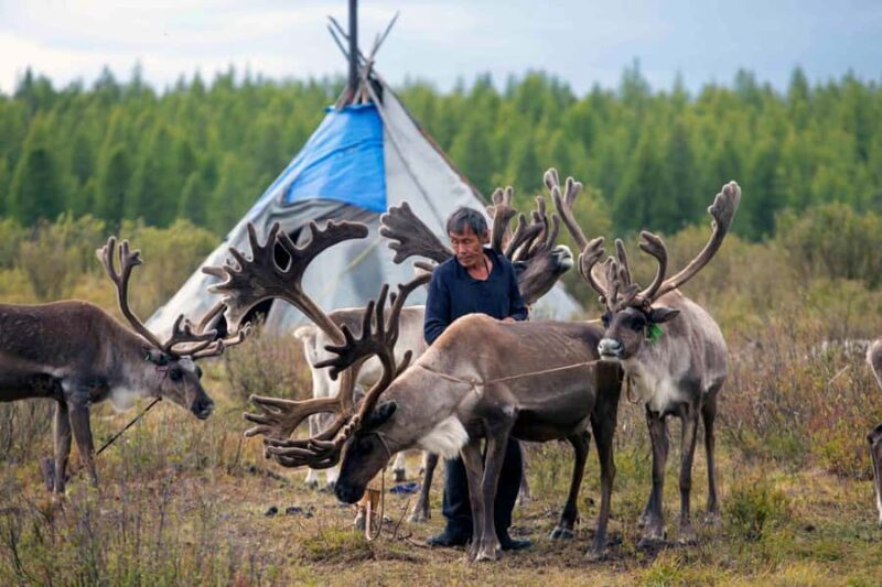 Mongolia: Tsaatan Tribe and Lake Khövsgöl 8-Day Tour - Good To Know
