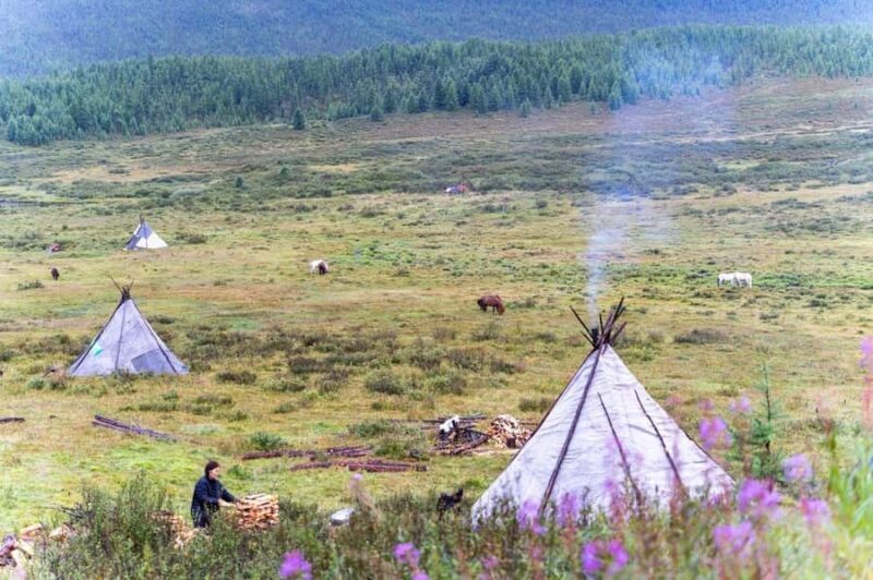 Mongolia: Tsaatan Tribe and Lake Khövsgöl 8-Day Tour - A Practical Guide to the 8-Day Mongolia Tour