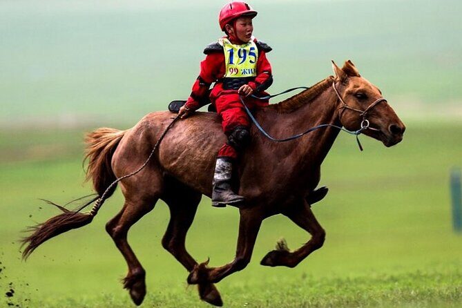 Mongolian Naadam Festival and Gobi Desert 10-Day Cultural Tour - FAQ