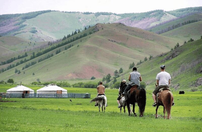 MONGOLIAN NOMADS: 2-Day Horse Trekking & Cow Milking Tour - Authenticity and Reviewer Insights