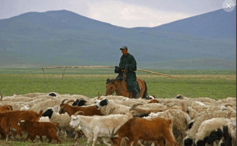 MONGOLIAN NOMADS: 2-Day Horse Trekking & Cow Milking Tour - Who This Tour Suits Best