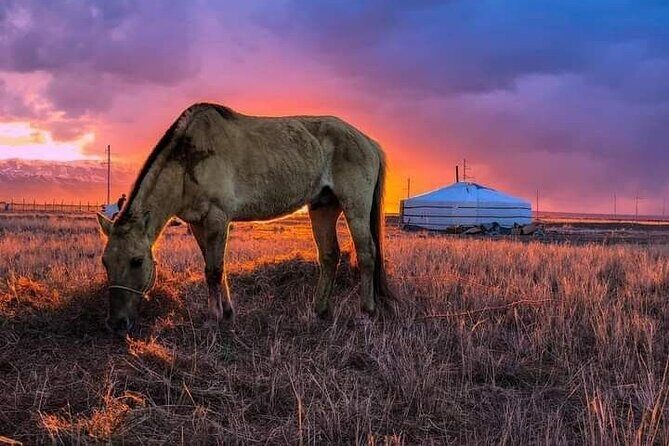 Mongolian Tour to Ancient Capital City of Mongol Empire - Exploring Ulaanbaatar and Its Surroundings