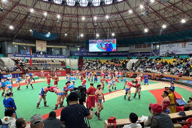 Mongolian Wrestling Bökh Tournament Experience - What Reviewers Like