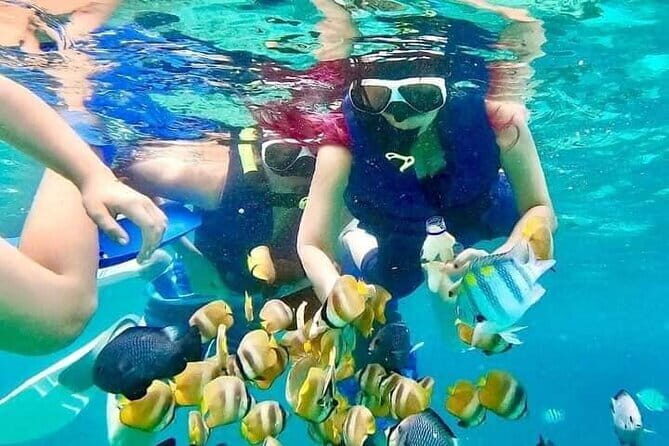 Monkey Bar and snorkling adventure at blue lagoon. - Who Should Consider This Tour?