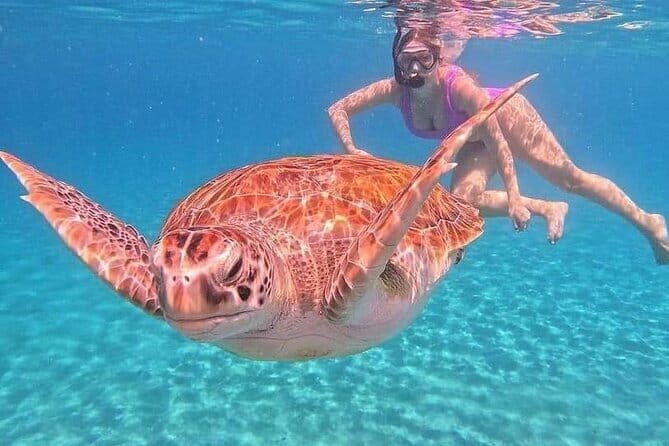 Monkey Bar and snorkling adventure at blue lagoon. - Discovering the Blue Lagoon Snorkeling Adventure