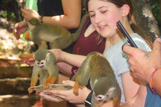 Monkey Enconter & Zip line Adventure - FAQs