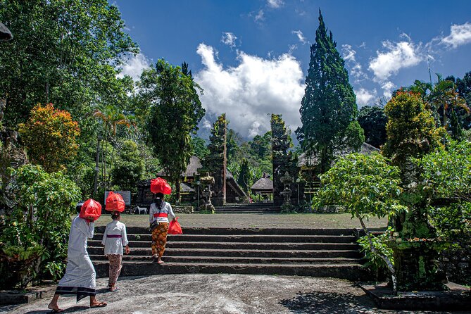 Monkey Forest, Jatiluwih and Temple in Jungle Private Tour - Reviews and Ratings Overview