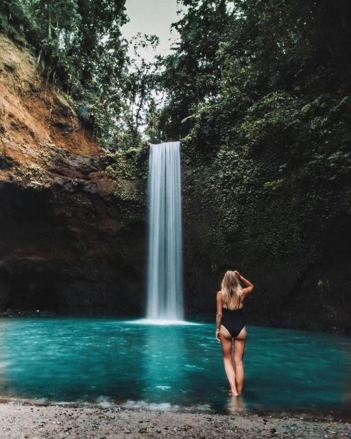 Monkey Forest, Rice Terrace and Local Night Market - Professional Photoshoot: Capture Memories With a Skilled Photographer