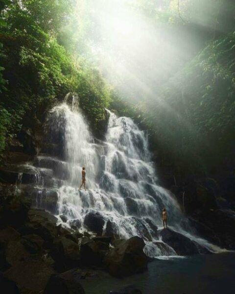 Monkey Forest, Rice Terrace and Local Night Market - Ubud, Bali: A Cultural Hub for Unforgettable Experiences