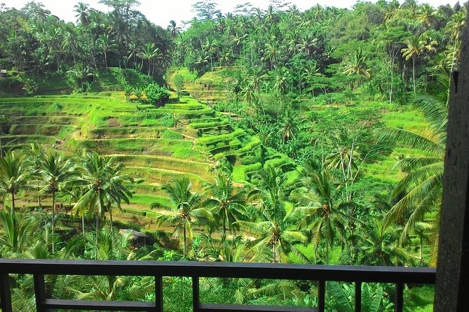 Monkey Forest, Ubud, and Rice Terraces - Ubud Art Market