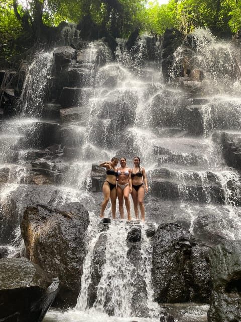 Monkey Forest, Waterfall ,Temple and Rice Terrace - The Sum Up