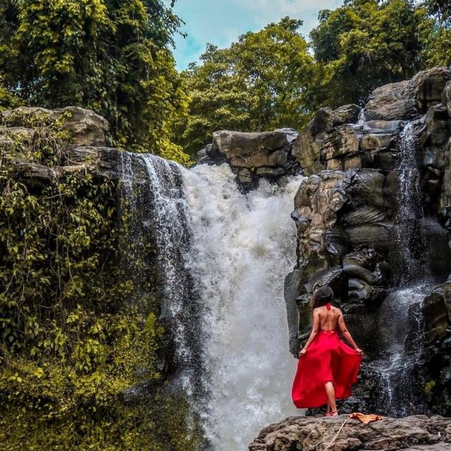 Monkey Forest,Temple, Waterfall, Rice Terrace & Art Villages - Good To Know