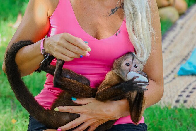 Monkey House VIP Experience with 4 species of monkeys, Punta Cana - Good To Know