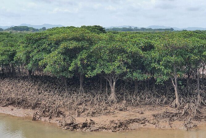 Monkey Island and Mangrove Forest Eco Tour from Ho Chi Minh - The Sum Up