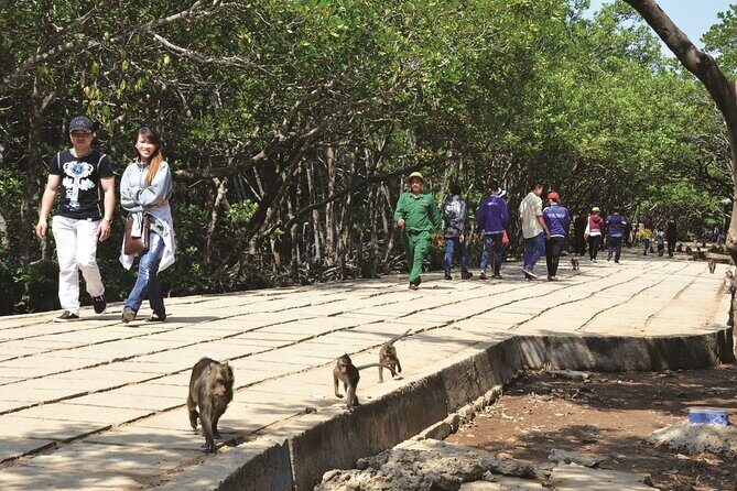 Monkey Island and Mangrove Forest Eco Tour from Ho Chi Minh - Good To Know