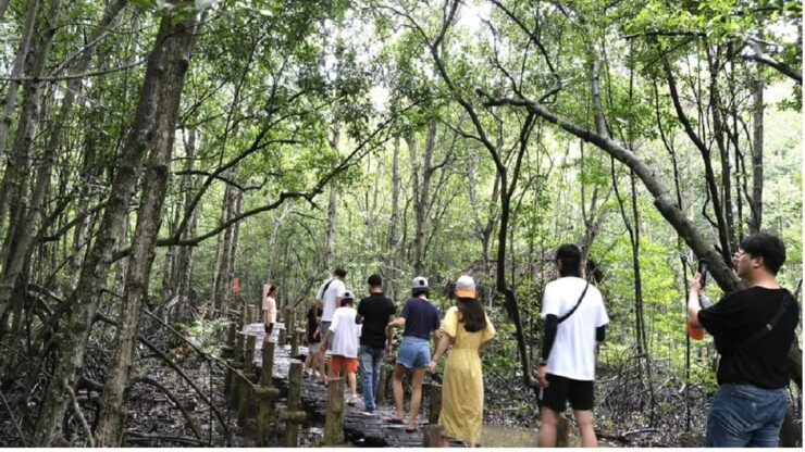 Monkey Island + Vam Sat Mangrove Forest 1 Day - Itinerary Highlights