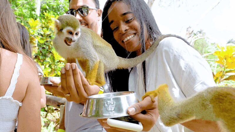 Monkey jungle tour + Transportation from cruise/hotel - What Makes This Tour Stand Out?