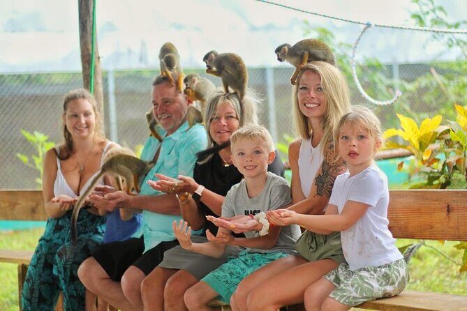 Monkey Magic and City Views in Puerto Plata - Good To Know