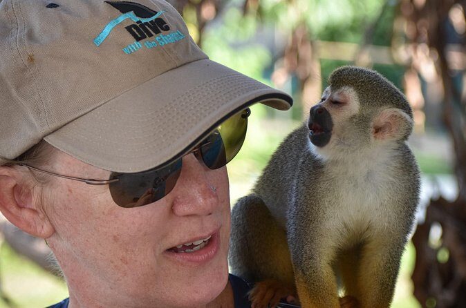 Monkey Mania Puerto Plata - Practical Details and What to Expect