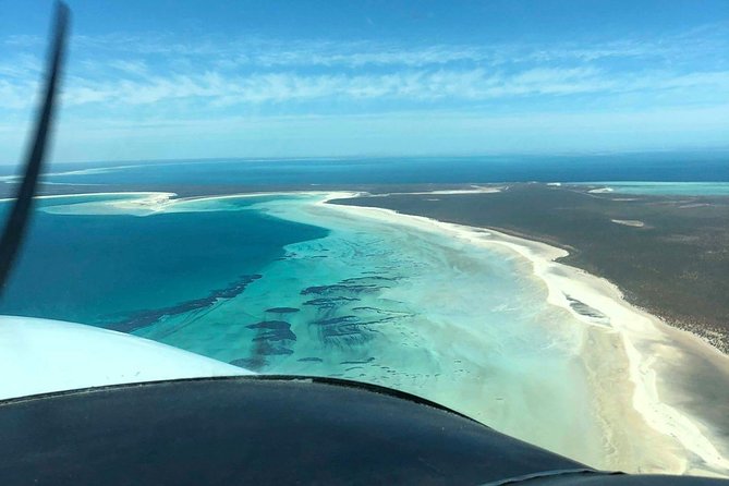 Monkey Mia Dolphins & Shark Bay Air Tour From Perth - Additional Information