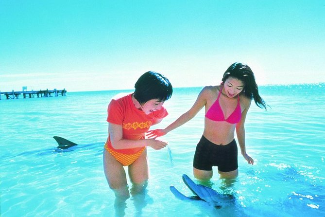 Monkey Mia Dolphins & Shark Bay Air Tour From Perth - Flight-Seeing Tour Details