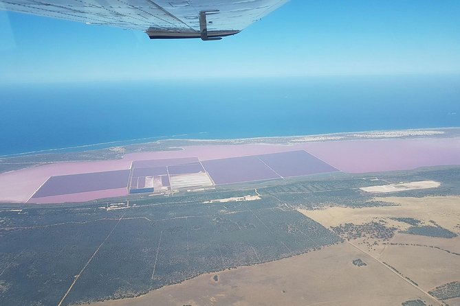 Monkey Mia Dolphins & Shark Bay Air Tour From Perth - Lunch and Beach Experience