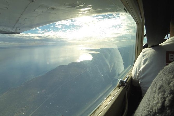 Monkey Mia Dolphins & Shark Bay Air Tour From Perth - Common Questions