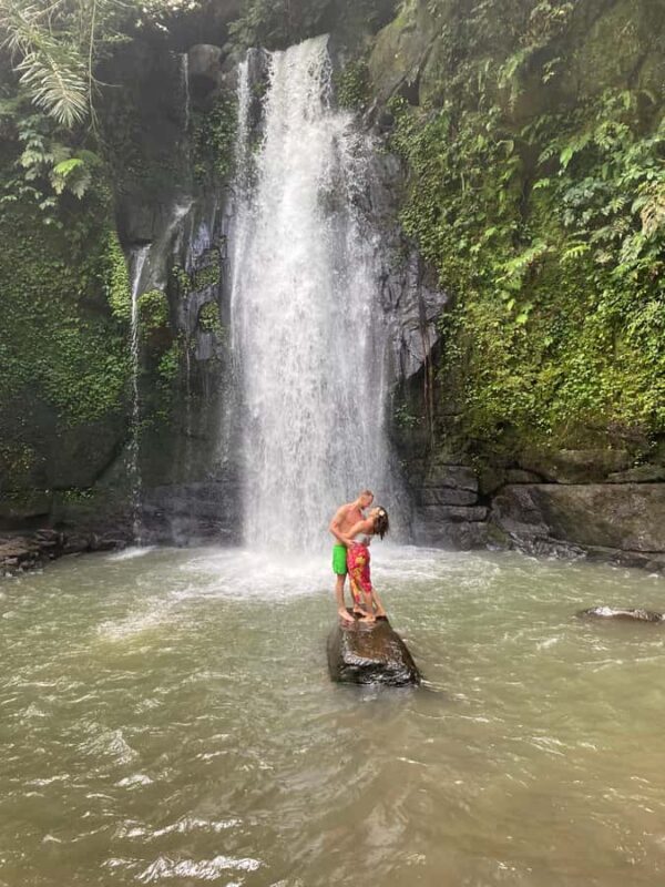 Monkey River, Ubud Market, Waterfall and Art Village - Analyzing the Value