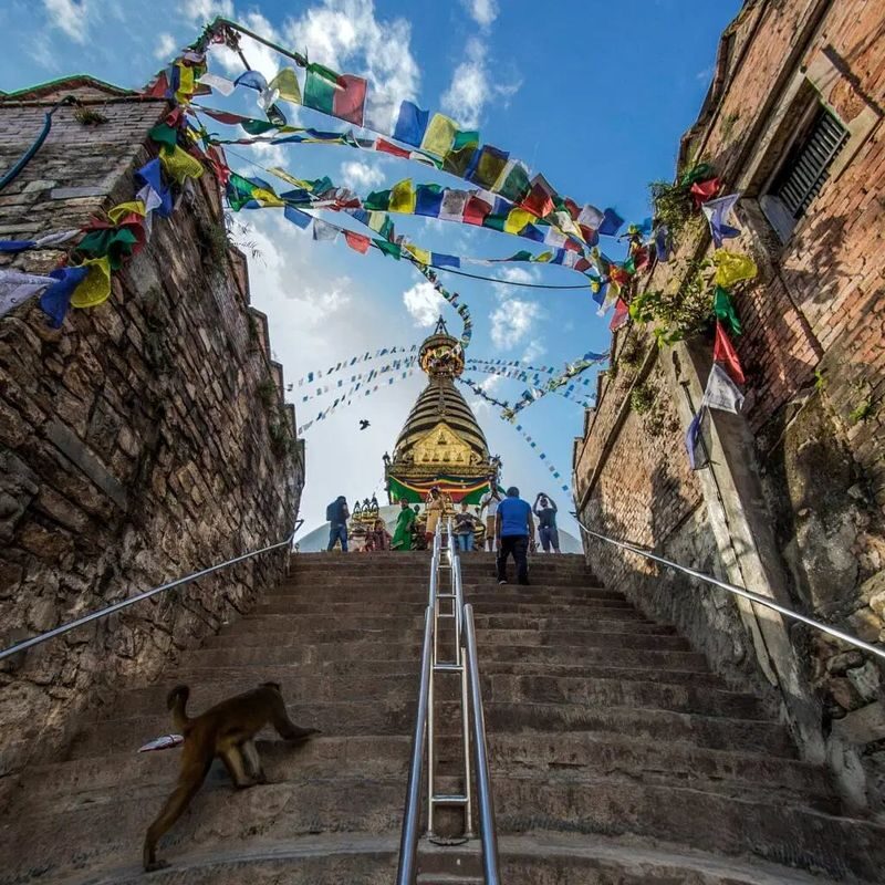 Monkey Temple - SwayambhuNath Walking Tour - What to know before you set out