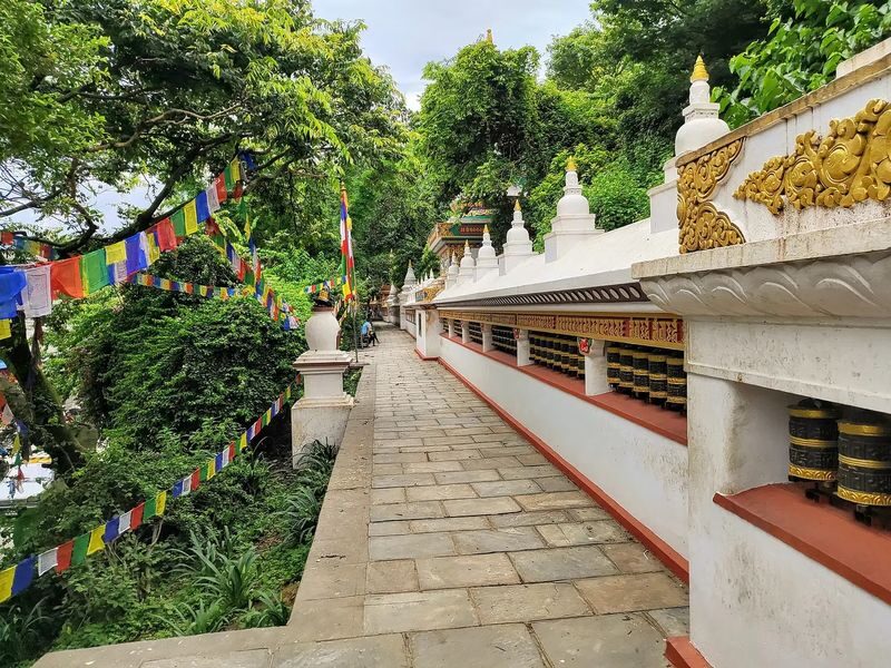 Monkey Temple - SwayambhuNath Walking Tour - Who will get the most from this walk