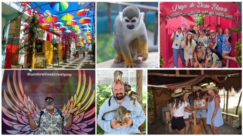 Monkey Tour Interaction and Historic Center (Puerto Plata) - The Itinerary in Detail: What You Can Expect