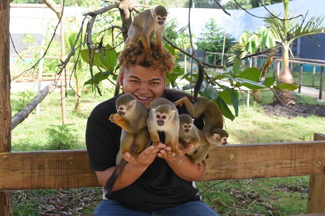 Monkey Tour Interaction and waterfalls excursion in Puerto Plata - Who Is This Tour Best Suited For?
