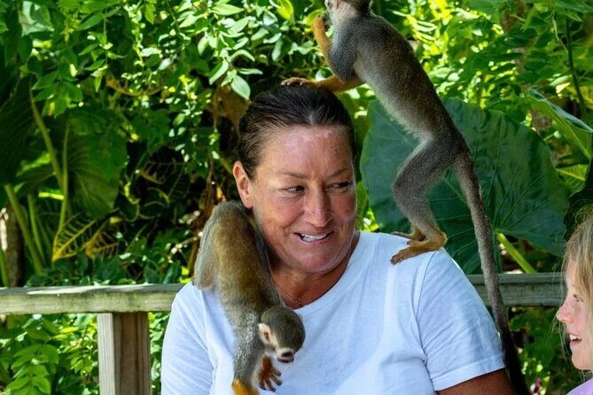 Monkeyhouse Adventure: A Family Day of Fun & Nature - Does It Deliver on Value?