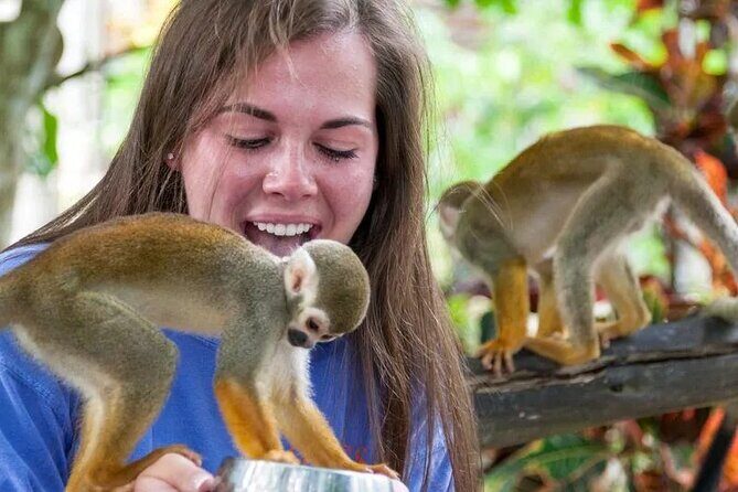 Monkeyhouse Adventure: A Family Day of Fun & Nature - Who Should Consider This Tour?