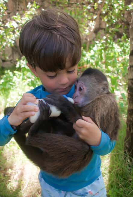 Monkeyland and Plantation Tour from Puerto plata - Good To Know