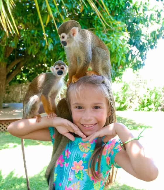 Monkeyland and Plantation Tour from Puerto plata - Exploring the Monkeyland and Plantation Tour in Detail