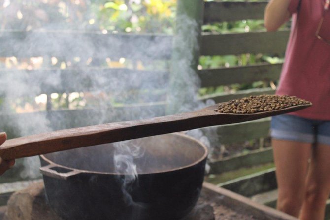 Monkeyland & Plantation Safari Full Day From Juan Dolio - The Sum Up