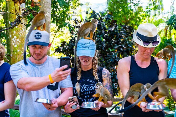 Monkeyland Samana Shared Adventure - FAQs