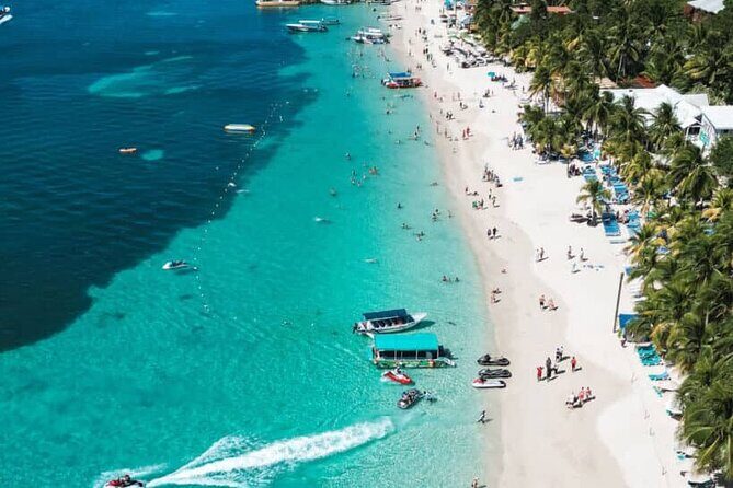 Monkeys and sloths, private tour , and beach - Good To Know