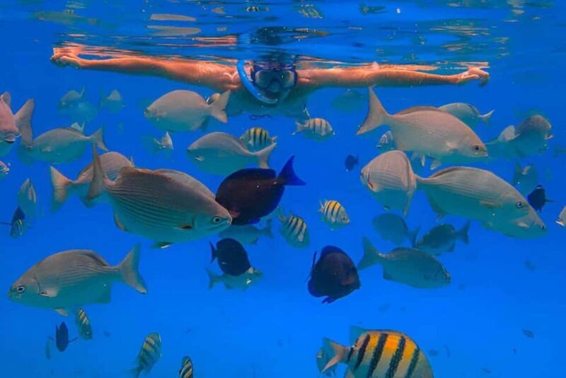 Monkeys and Snorkel Adventure in Sosúa, Puerto Plata - Practical Tips for a Seamless Experience