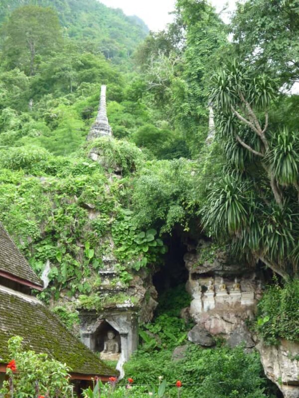 Monks chanting, Wat Doi Suthep and Wat Phalad+ Meditation - A Detailed Look at the Tour Experience