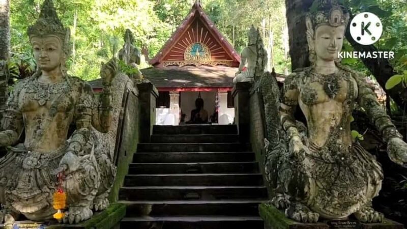 Monks chanting, Wat Doi Suthep and Wat Phalad+ Meditation - Why This Tour Stands Out