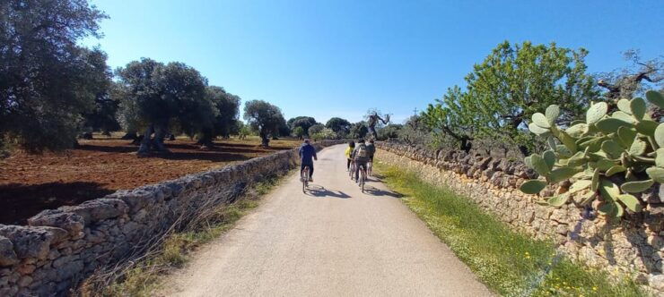 Monopoli Countryside Bike Tour - Good To Know