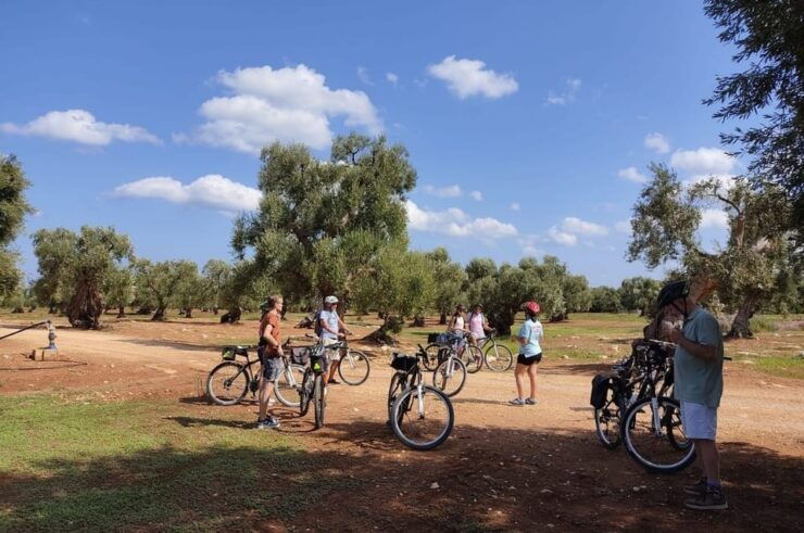 Monopoli Countryside Bike Tour - Booking Process